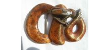 boucle de ceinture serpent en métal , vintage