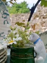 Pot à moutarde