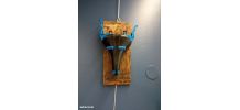 Tête de taureau/bete a cornes pièces de vélo