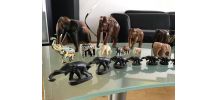 Collection de 42 pièces Eléphants, boîtes  fait main