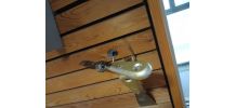 Statuette/figurine oiseau pivert  DIY spatules