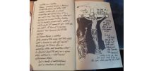 journal du pr Jones ( aventuriers de l'arche )