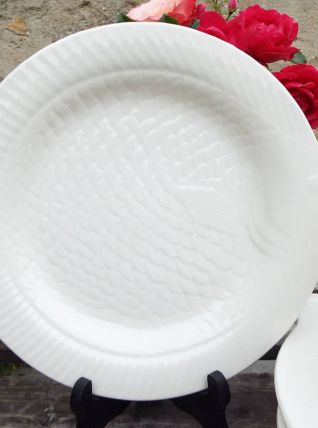 6 assiettes poisson sarreguemines