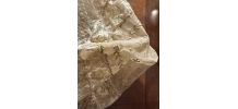 Coiffe Ancienne 1900 en Dentelle Leavers de Calais Ruban en 