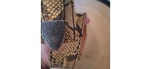 Ceinture cuir imprimé python 