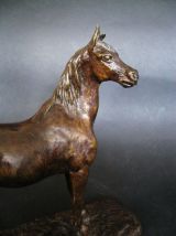 Cheval Pur sang .Fratin.Bronze 19eme