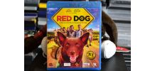blu ray red dsog neuf sous blister