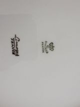 Lot 2 grandes assiettes