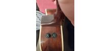 Guitare Ibanez Electro-Acoustic 1986 AE 400