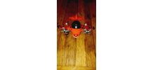 Avion requin Fisher price 