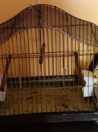 Cage à oiseaux en métal avec mangeoires en porcelaine.