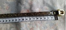 Ceinture reptile beige  boucle dorée 