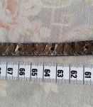 Ceinture reptile beige  boucle dorée 