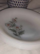 5 assiettes a dessert arcopal modele marguerites