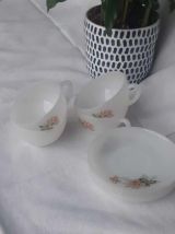 Service tasses et soucoupe arcopal collection rose de france