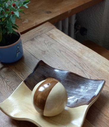 Vide poche/plat