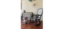 Fauteuil à bascule bois style Bentwood Champagne