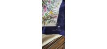 Foulard Pierre Cardin 