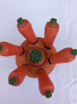 Lot de couteaux  à fruits sur support carotte