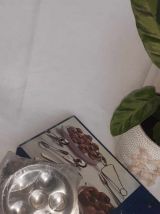 menagere assiettes escargots