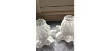 Lot de 2 Tulipes  en verre