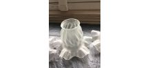 Lot de 2 Tulipes  en verre