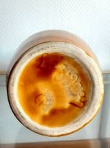 Grand vase amphore en céramique orange vintage 
