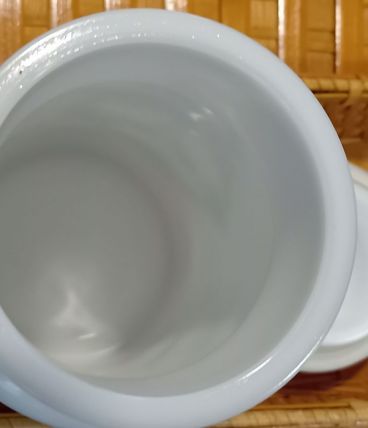 Pot d'apothicaire en opaline 