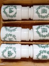 Lot de 6 pots d'apothicaire