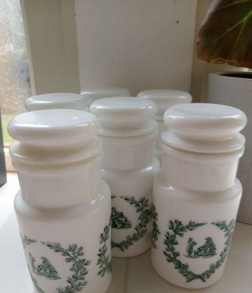 Lot de 6 pots d'apothicaire