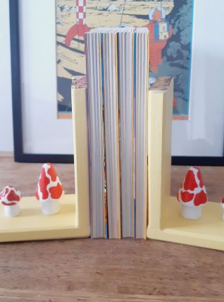 SERRE LIVRES DECORATIFS