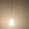 Lampe /suspension tulipe baladeuse opaline