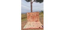 Tapis Marocain Authentique 300x200 cm.