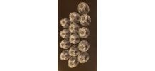 14 petits verres années 50 pied étoile
