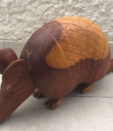 Tatou en bois d'Amazonie