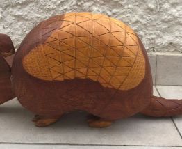 Tatou en bois d'Amazonie