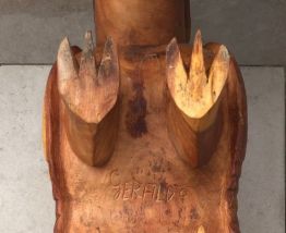 Tatou en bois d'Amazonie