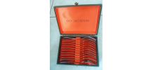 coffret 12 fourchettes a dessert Guy Degrenne