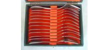 coffret 12 fourchettes a dessert Guy Degrenne