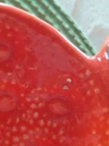 Barbotines Fraises