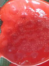 Barbotines Fraises