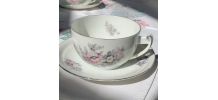 Lot de 2 belles tasses et sous tasses Bloch &amp;amp; Co EICHWALD