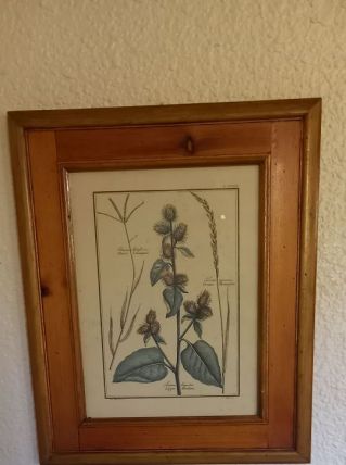 Tableau fleurs 