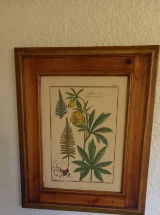 Tableau fleurs 