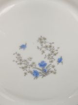 Set de 5 assiettes à dessert Arcopal
