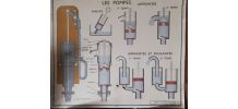 Affiche scolaire sciences 