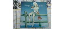 Vinyle  33T Roomful of blues Hot Little Mama 1981