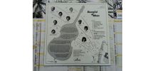 Vinyle  33T Roomful of blues Hot Little Mama 1981