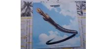 Vinyle 33T Vangelis Spiral de 1977 disques en EO