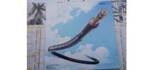 Vinyle 33T Vangelis Spiral de 1977 disques en EO